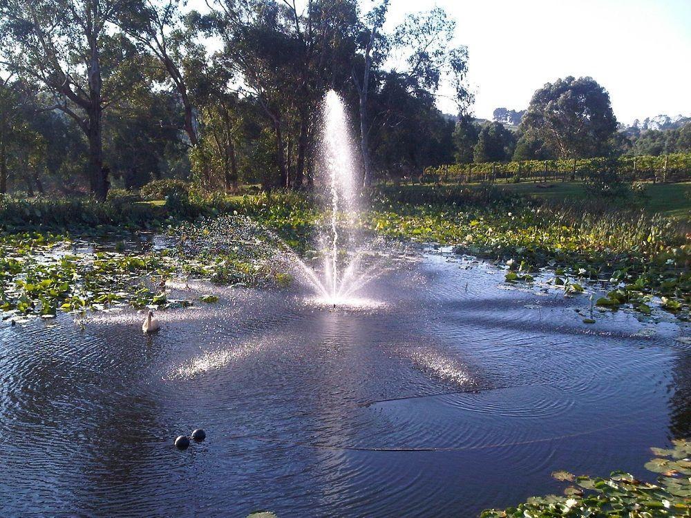 Bed and Breakfast Wild Cattle Creek Estate Wandin Yallock Экстерьер фото